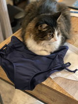 Ana Bogusky review photo