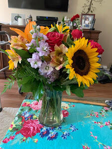Suzanne Kahn review photo