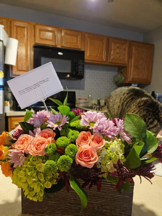 Customer photo of Judge.me Shop Reviews