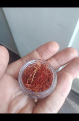 Ravi kant review photo