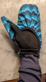 N.C. review photo