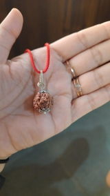 Harmeet Raina review photo