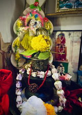 Shrasmita ghosh review photo