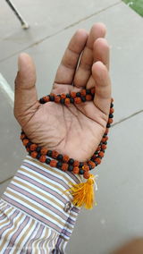 Kamesh B Gavli review photo