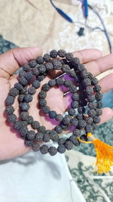 Kamesh B Gavli review photo