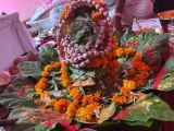 Manash mishra review photo