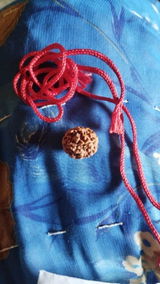 Ashok Dabhi review photo