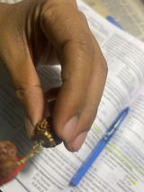 Amit . review photo