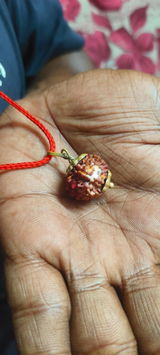 Shivakrishnayadav Kurre review photo