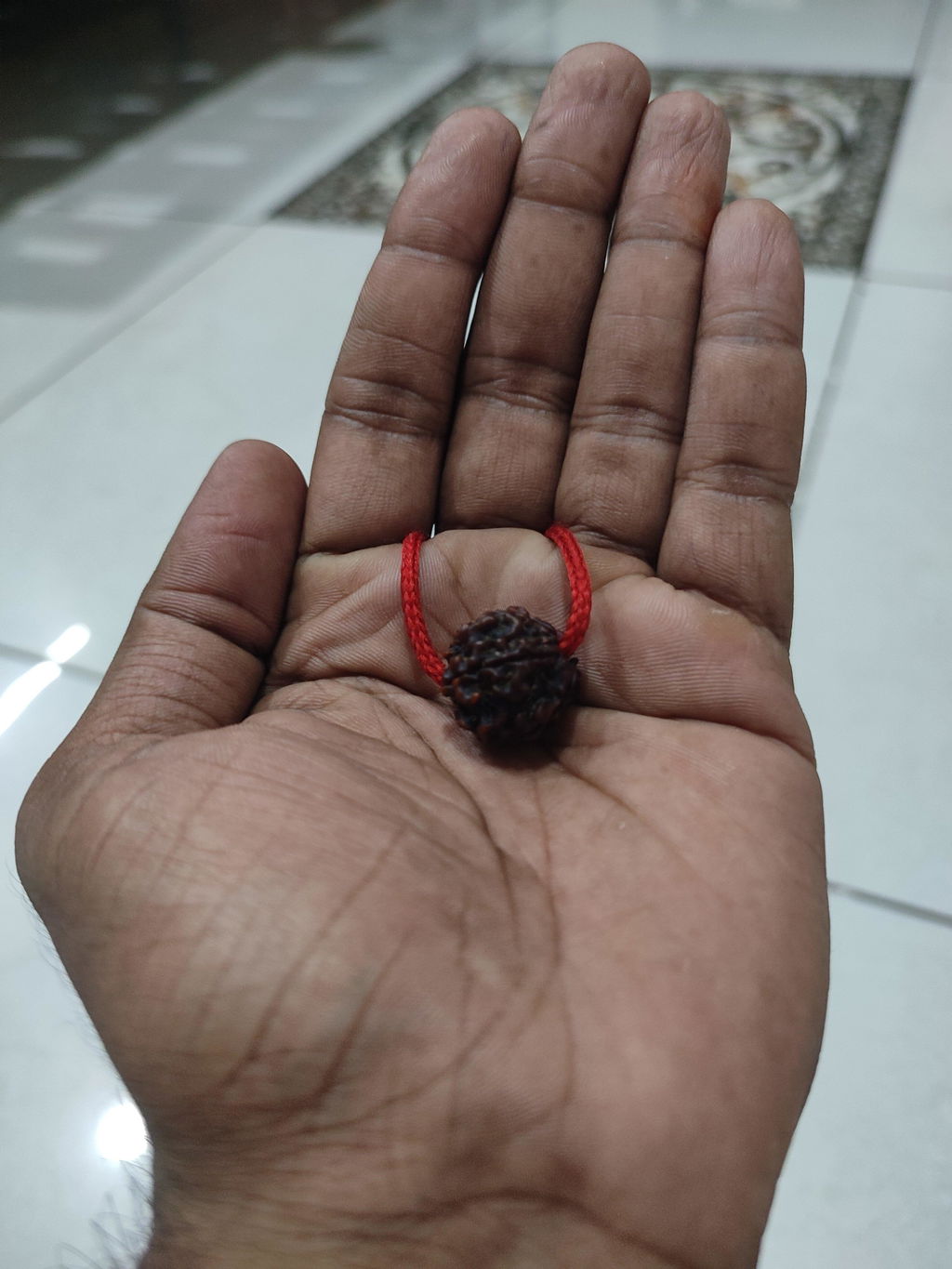 Free Gift - 5 Mukhi Nepali Rudraksha