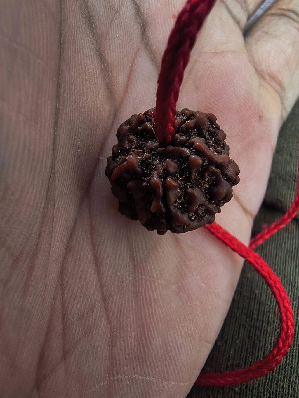 Free Gift - 5 Mukhi Nepali Rudraksha