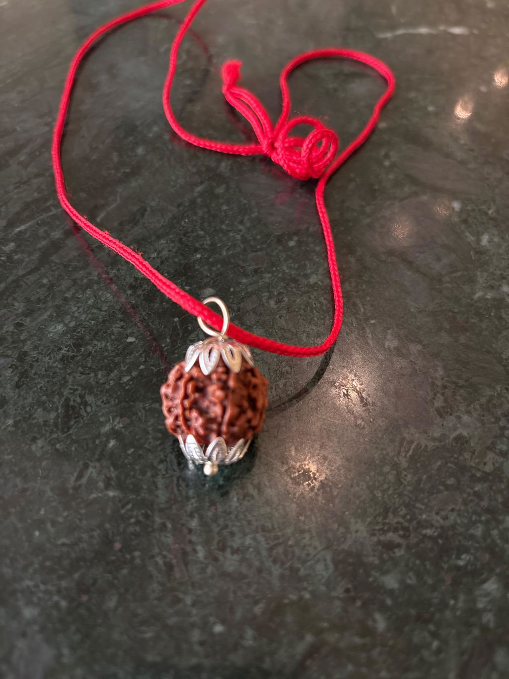 6 Mukhi Nepali Rudraksha - Chhey Mukhi