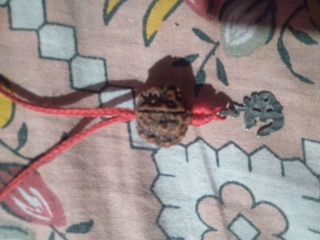 Free Gift - 5 Mukhi Nepali Rudraksha