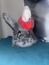 Antonio review photo