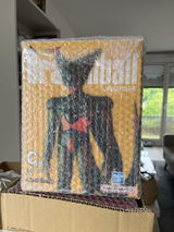 Fabien Leduc review photo