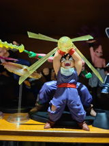 Cervantes Robin review photo