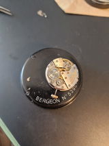MR Seikofan review photo