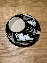 Chaoran Fan review photo