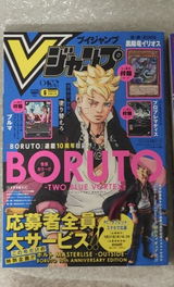 Bruno review photo