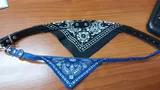 Étienne F. review photo