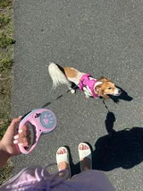 Maryse D. review photo
