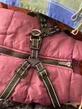 Célina F. review photo