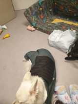 Julien B. review photo