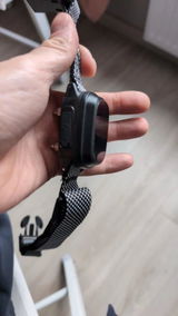 Augustin D.S. review photo