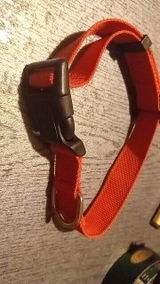Arthur G. review photo