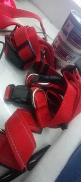 Arnaude J. review photo