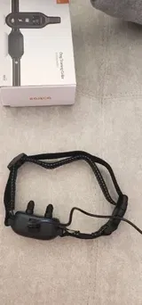 Pauline F. review photo