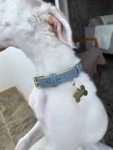 Thibault B. review photo