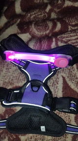 Hugues C. review photo