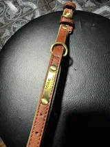 Thibaut M. review photo