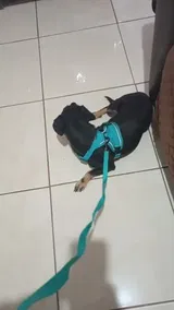 Matthieu A. review photo