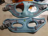 Laurent P. review photo