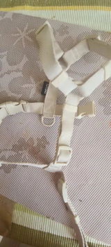 Tristan M. review photo