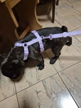 Gilbert R. review photo