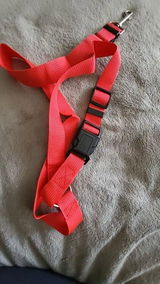 Roger G. review photo