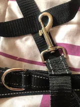 Marine L. review photo