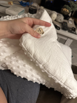 Customer review photo
