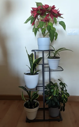 Sasha Cunningham review photo