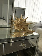 B. Lesan review photo