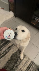 Bridgette review photo
