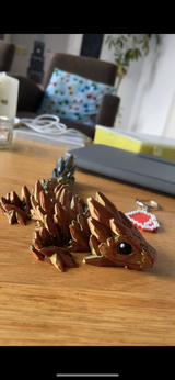 J van Schaik review photo