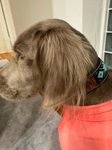 Etsy customer review photo