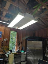 Techie Lumberjack review photo