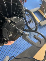 Wagz review photo