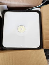 W Rene review photo