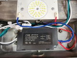 W Rene review photo